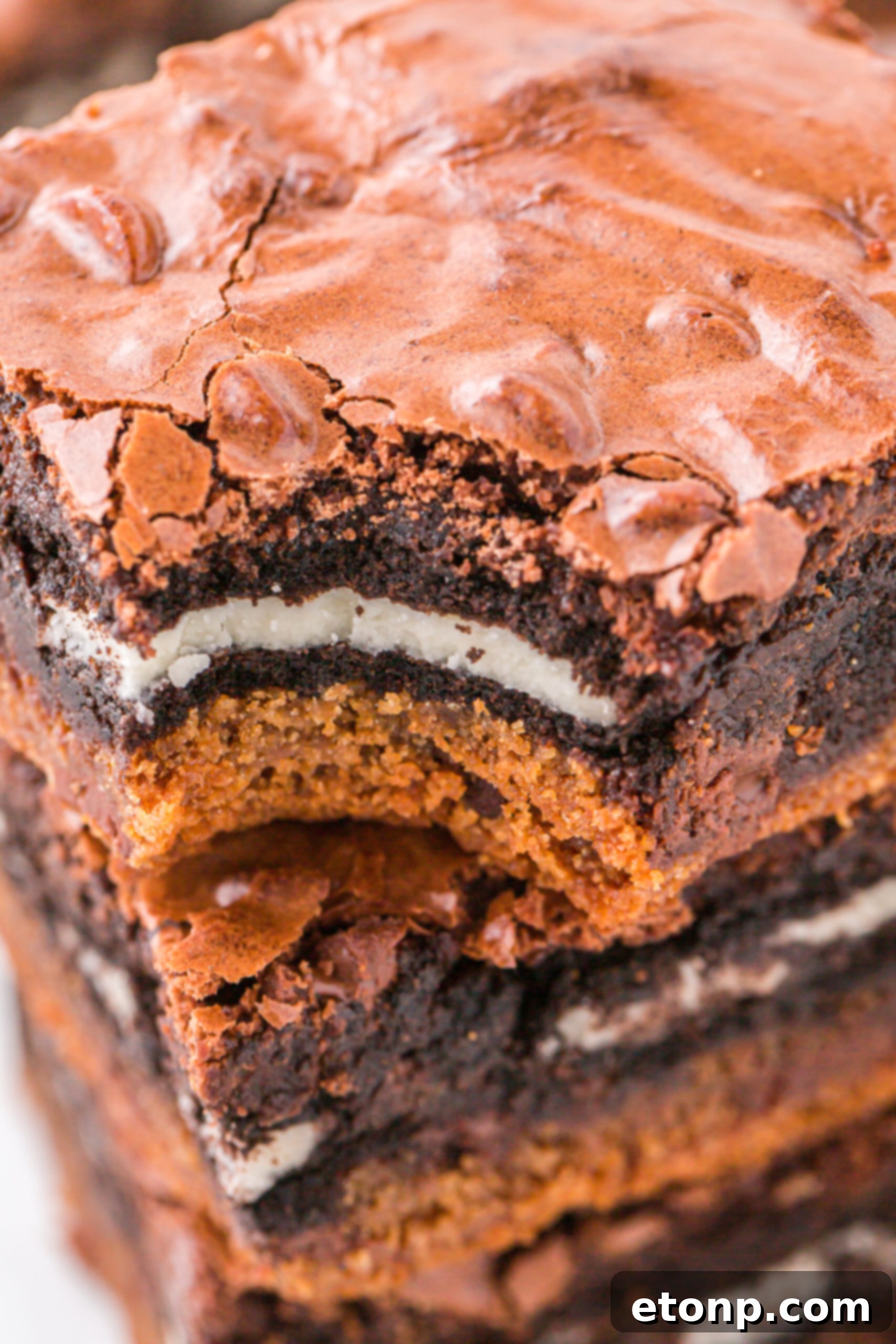 up close shot of the layered Slutty Brownies with a bite missing 