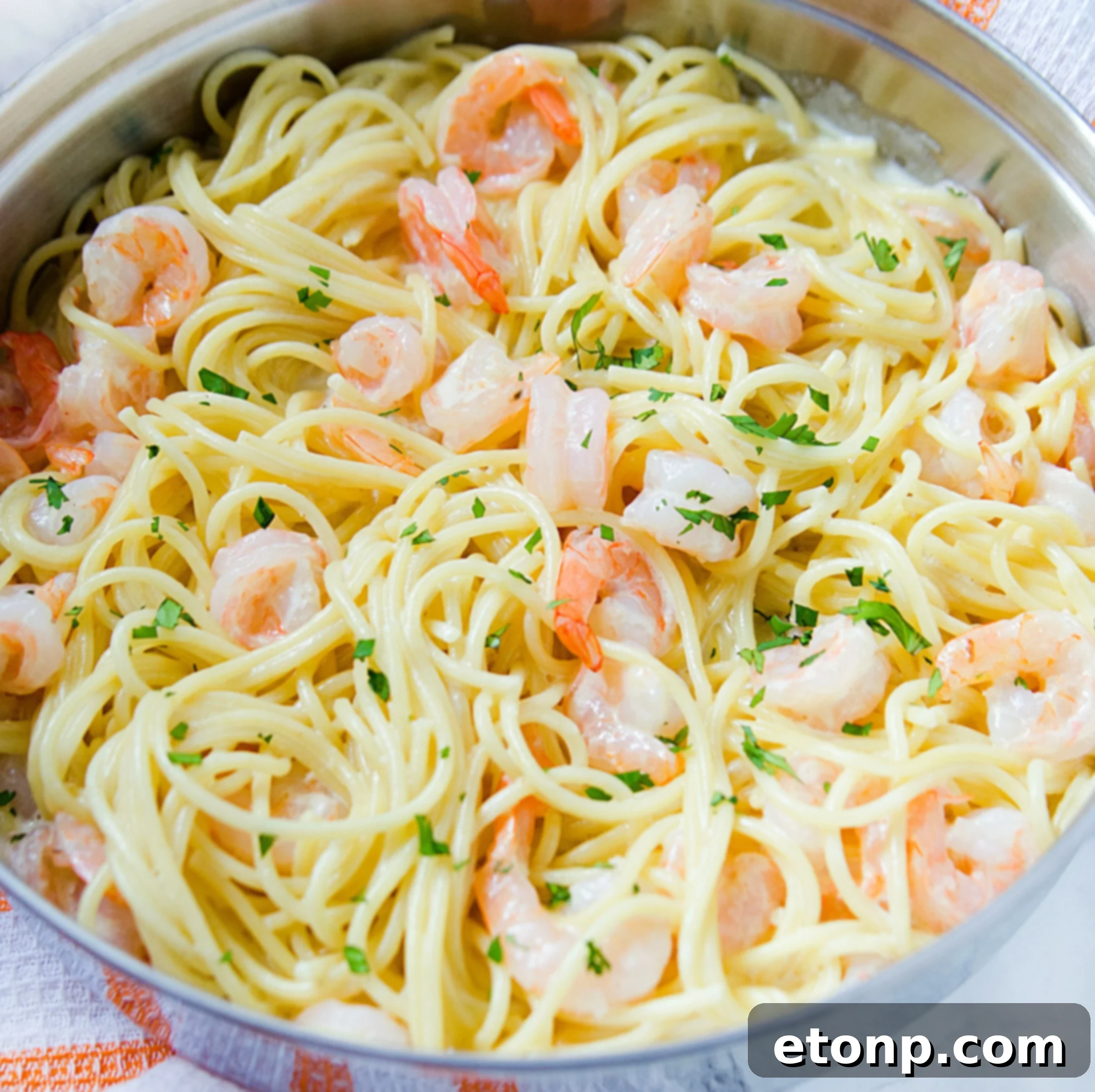Close-up of a generous serving of creamy four cheese garlic shrimp pasta with fresh parsley garnish in a white bowl, ready to be enjoyed.