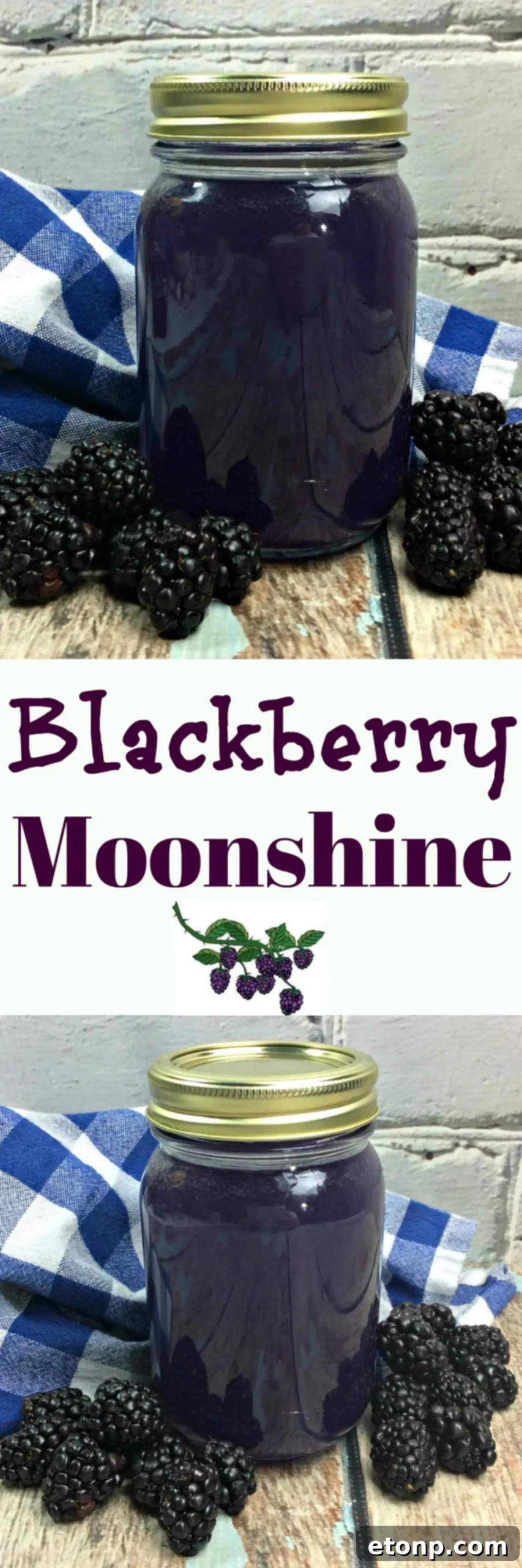 A vibrant close-up of a single, plump blackberry, emphasizing its fresh texture and juicy appearance.