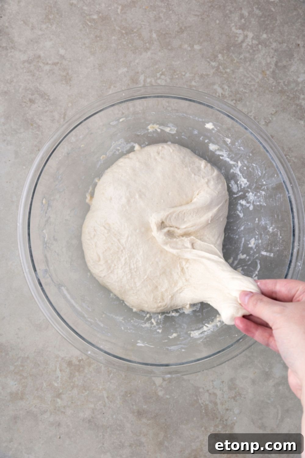 pulling the Homemade Sourdough Bread dough to show texture