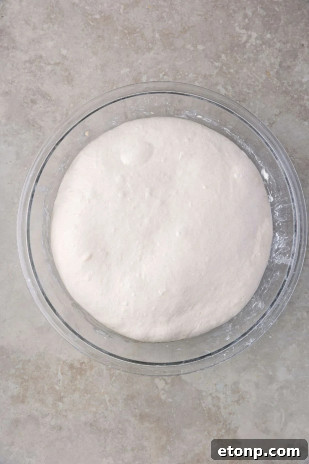 Homemade Sourdough Bread dough risen in a glass bowl 