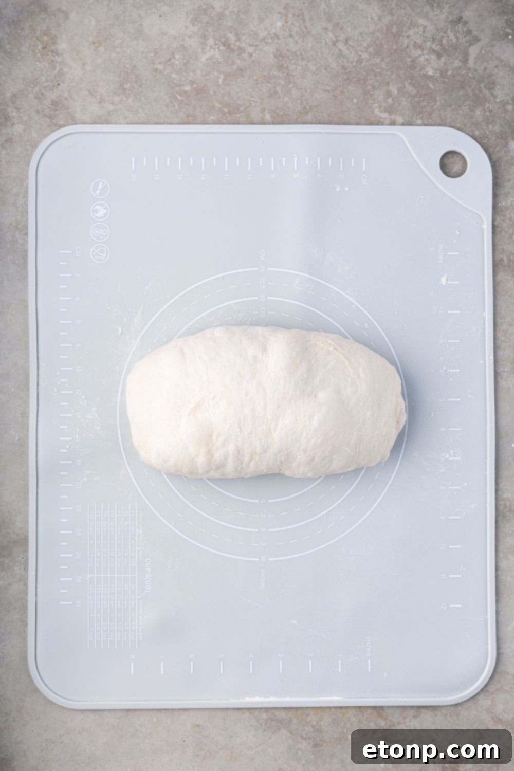 shaped Homemade Sourdough Bread dough on a cutting board