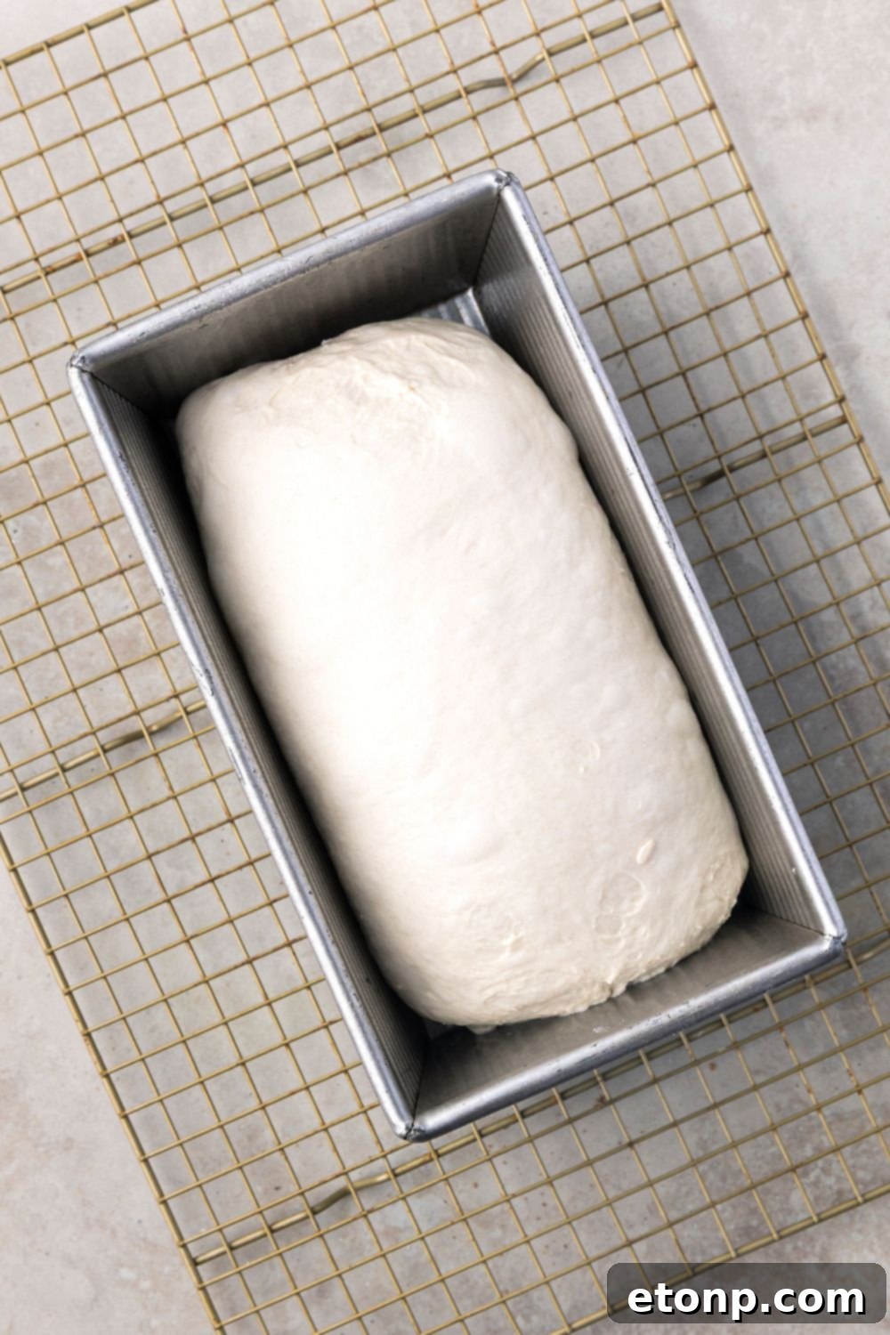 small Homemade Sourdough Bread dough in a pan on cooling rack on table 