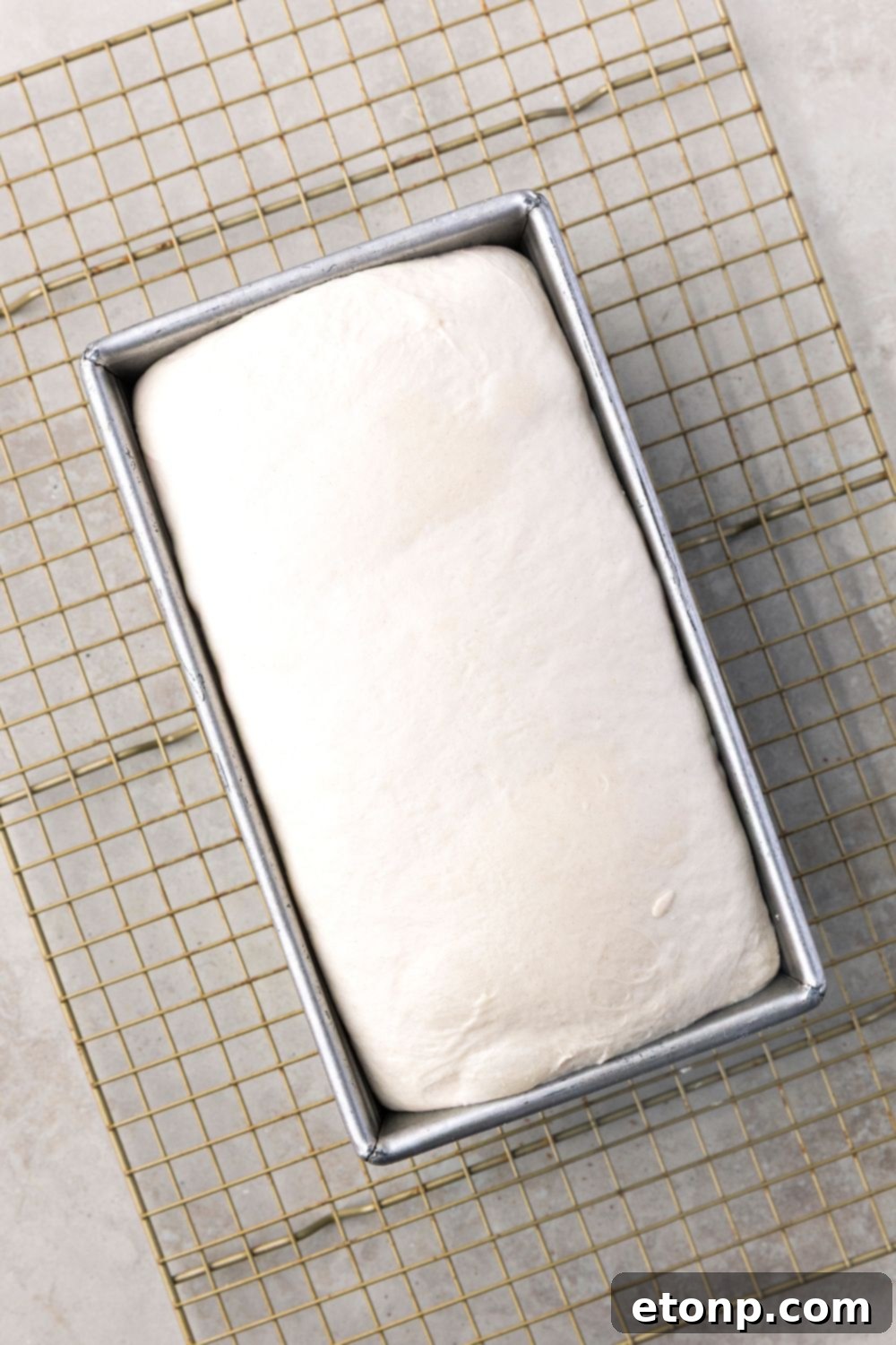 Homemade Sourdough Bread dough in a loaf pan on table 