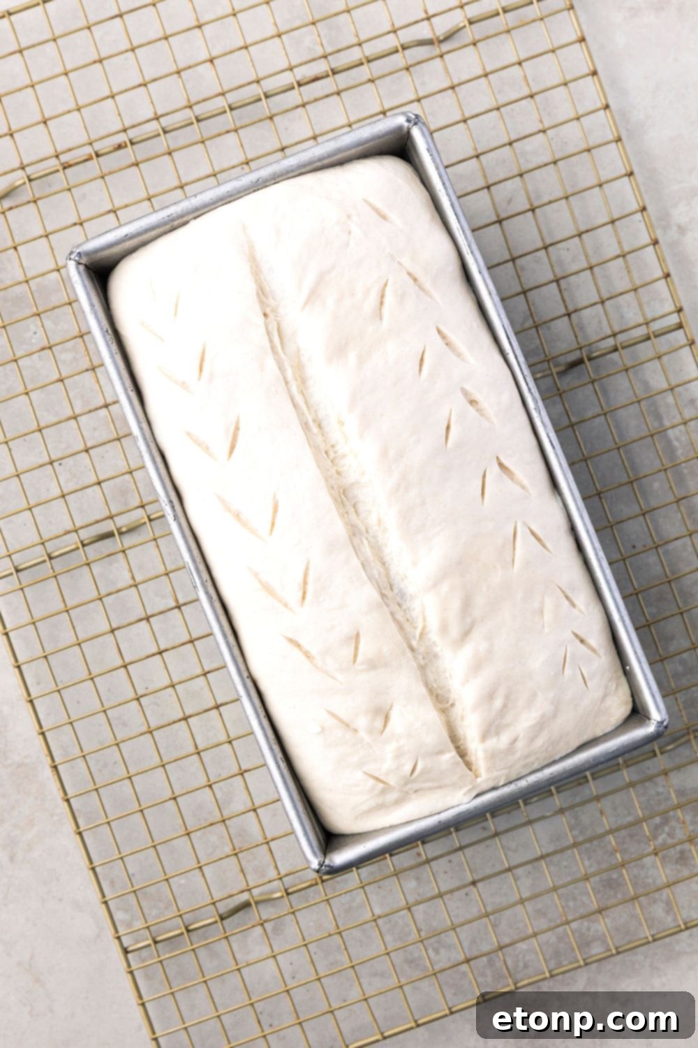 Homemade Sourdough Bread dough that has slits in it to show how to cut the bread dough 