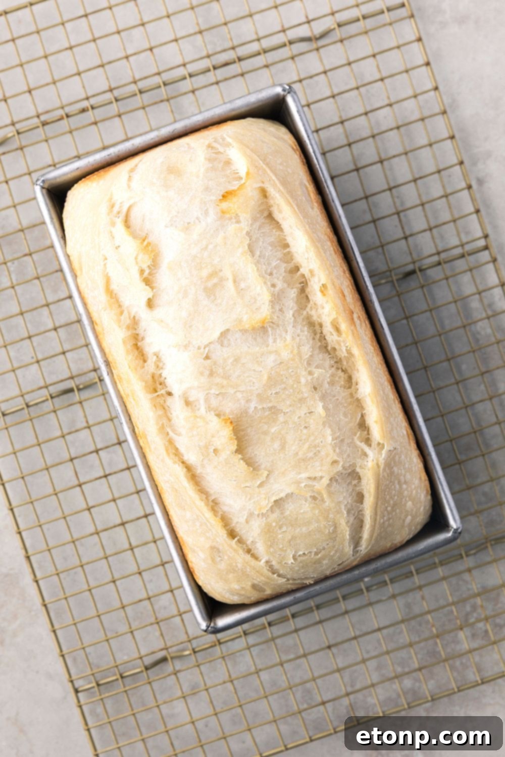 baked Homemade Sourdough Bread in a loaf pan on cooling rack 