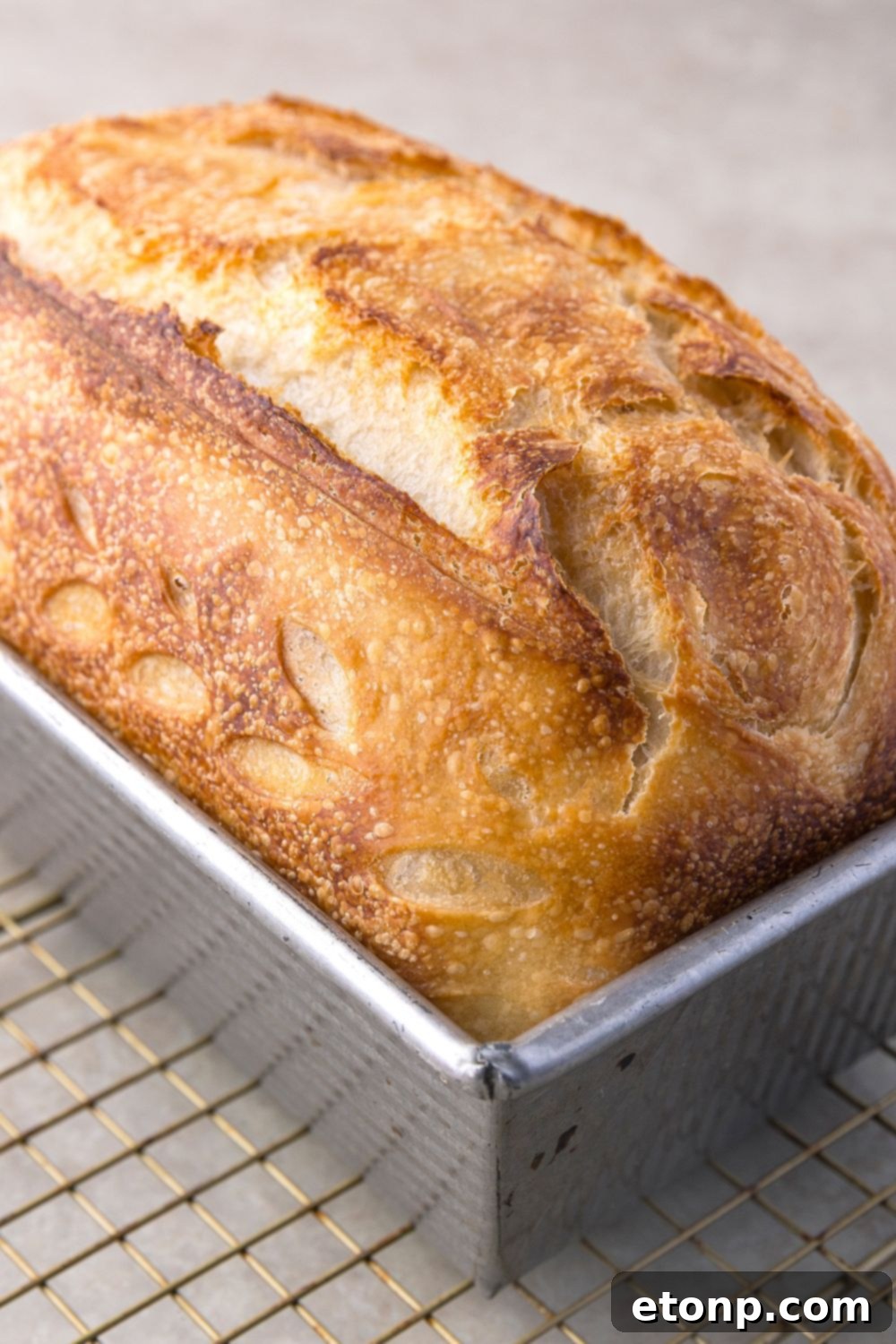 Homemade Sourdough Bread in a loaf pan sitting on a cooling tray 