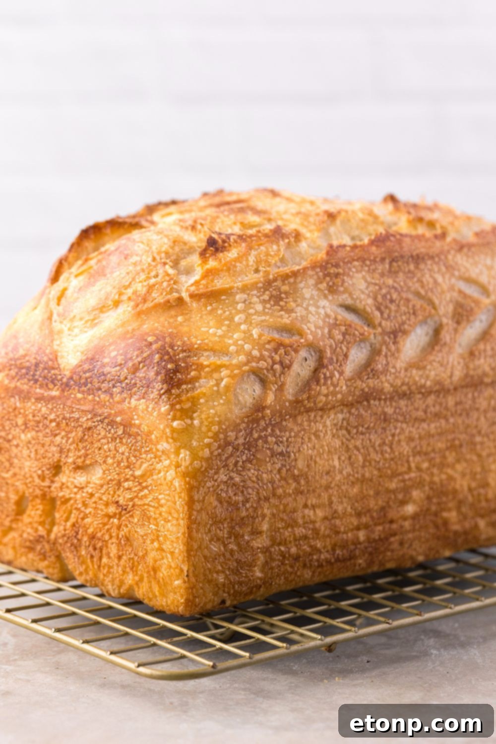 Homemade Sourdough Bread loaf on cooling rack on table 