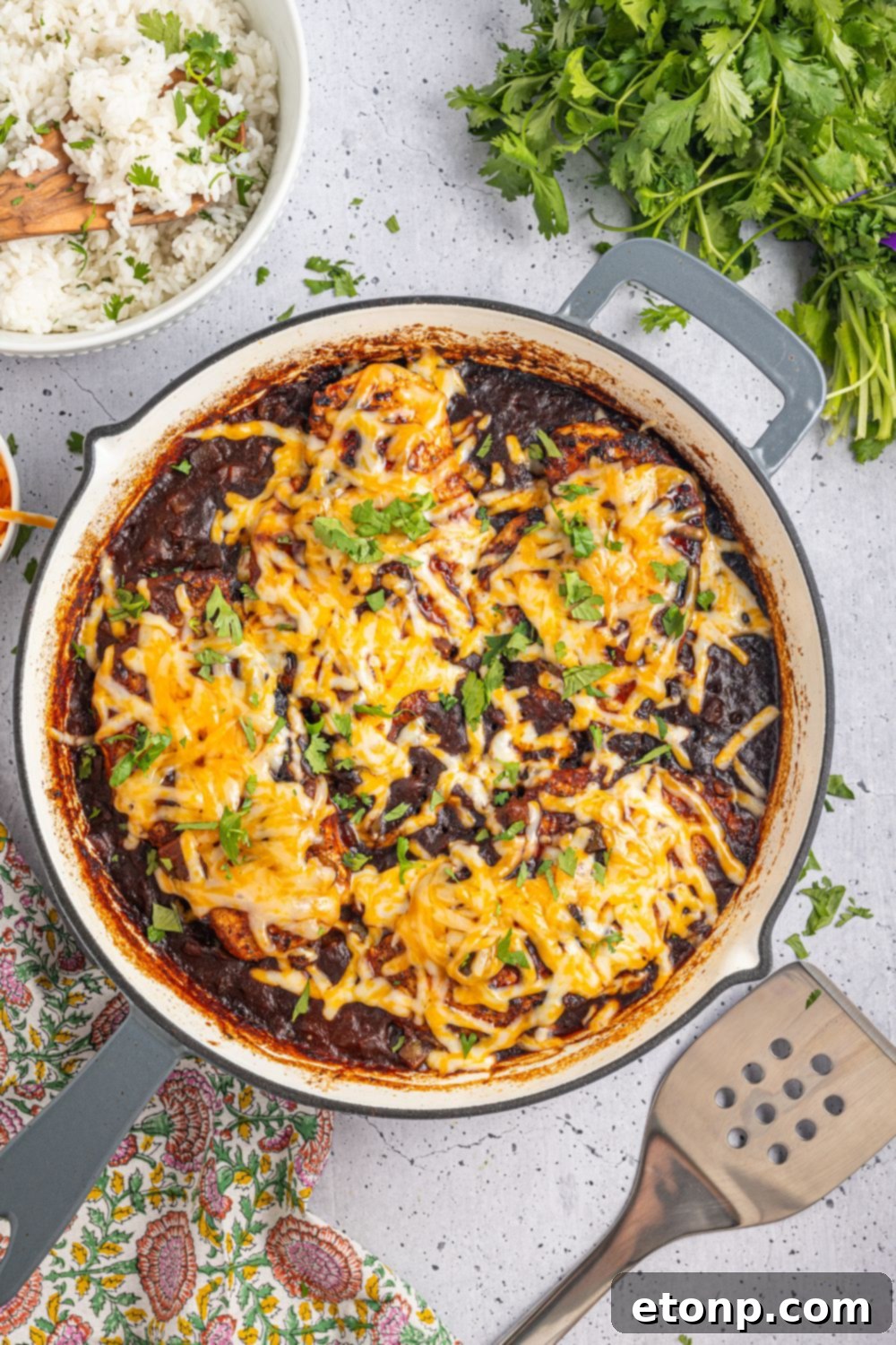 One Pan Cheesy Salsa Chicken 11 overhead look of Cheesy Salsa Chicken with a spatula to side and parsley to side and rice in a bowl