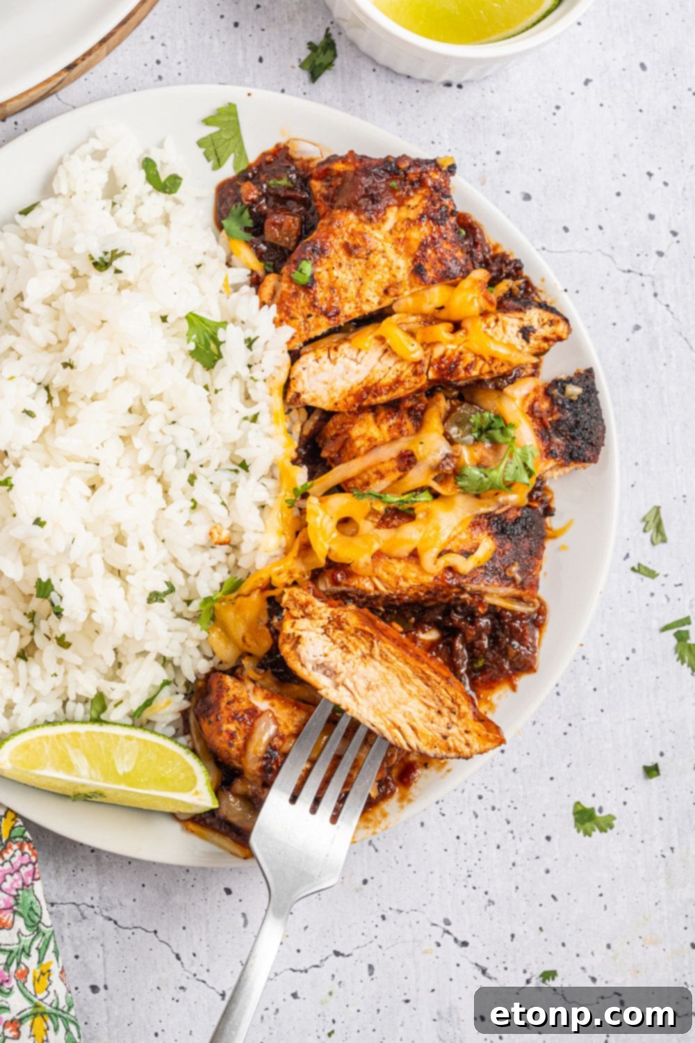 One Pan Cheesy Salsa Chicken 15 Cheesy Salsa Chicken cut into pieces with a bed of rice to side