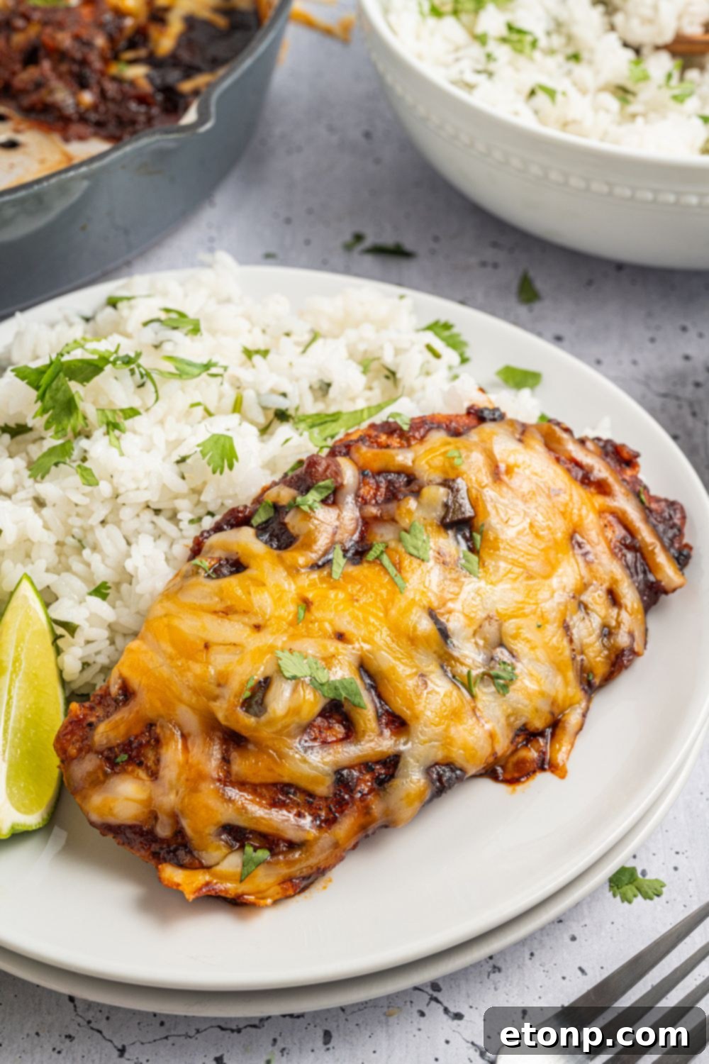 One Pan Cheesy Salsa Chicken 16 Cheesy Salsa Chicken on a plate with rice and parsley with lime slice