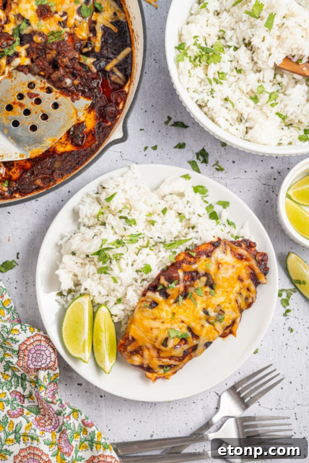 One Pan Cheesy Salsa Chicken 22 Cheesy Salsa Chicken on plate with rice on side