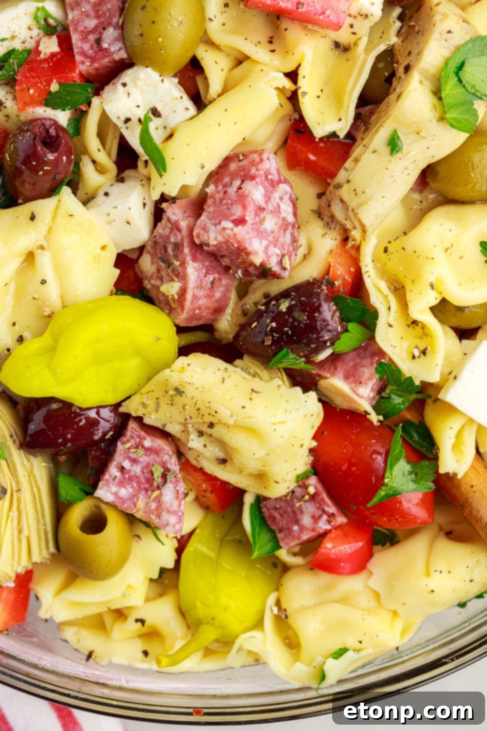Close-up of Antipasto Tortellini Pasta Salad in a bowl, focusing on the tortellini, artichokes, and other colorful ingredients.