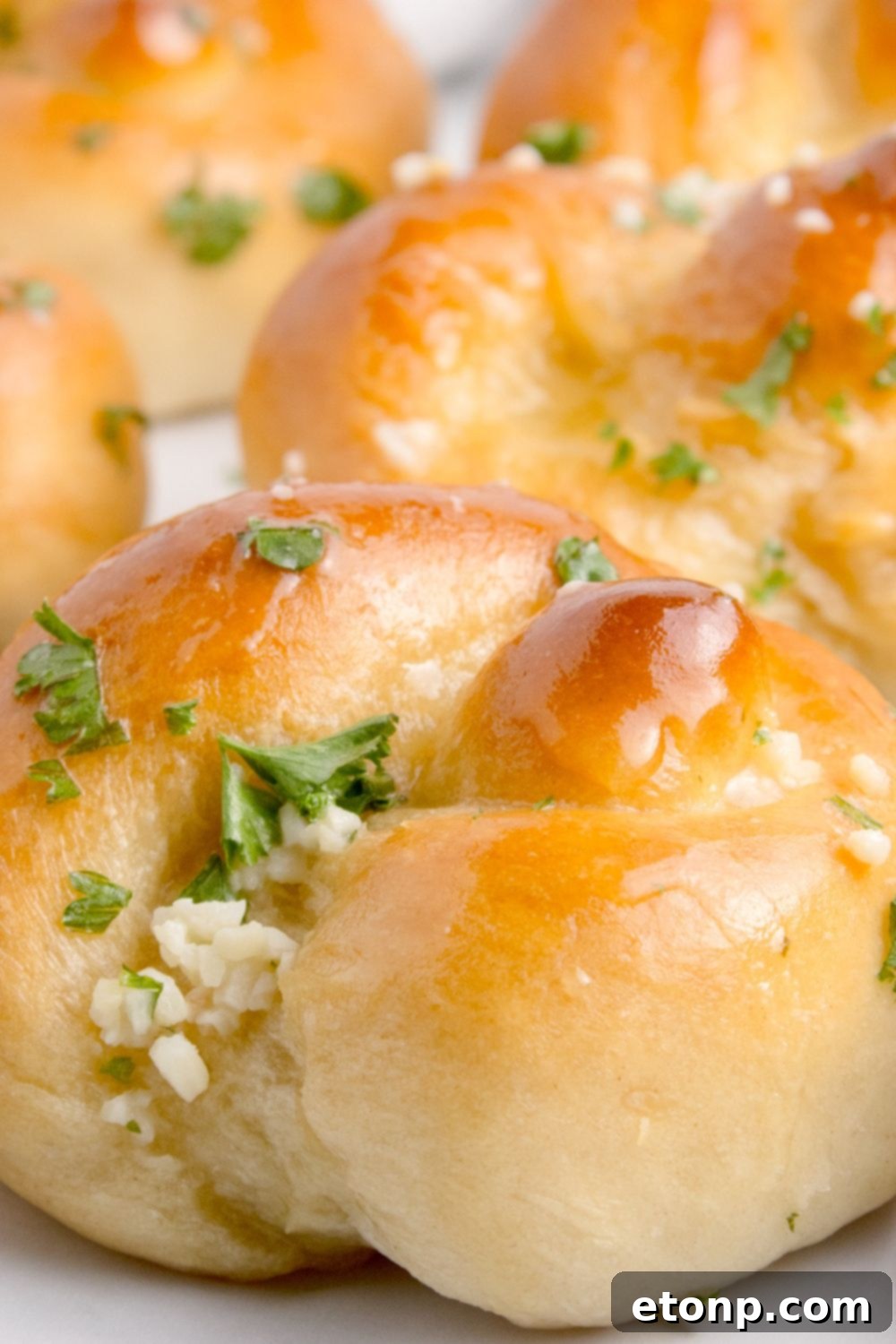 Homemade Garlic Knots on table with a close up view of the garlic and parsley on top of each roll