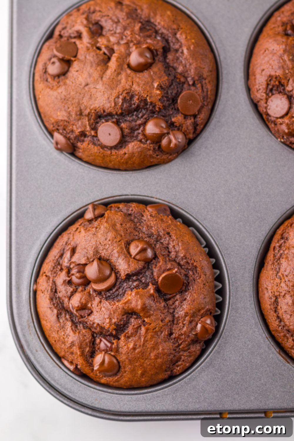 Costco Double Chocolate Muffins Bakery Style Jumbo Rich Moist 12 Baked Costco Double Chocolate Muffins in a muffin pan, fresh from the oven.