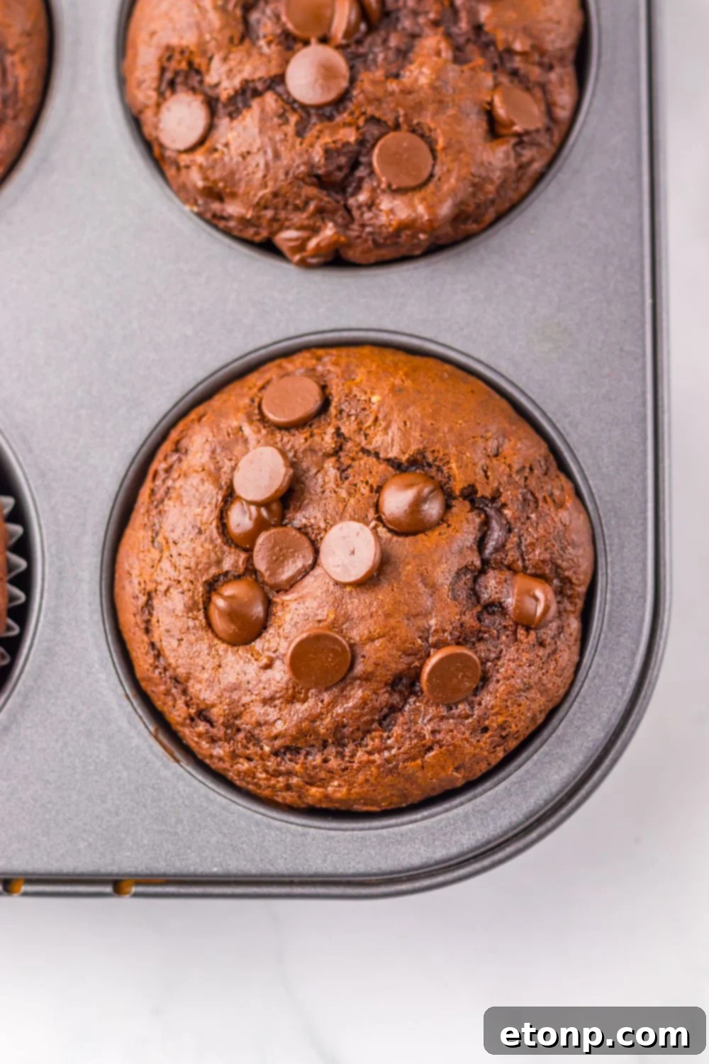 Costco Double Chocolate Muffins Bakery Style Jumbo Rich Moist 16 Muffin pan with baked Costco Double Chocolate Muffins, fresh from the oven.