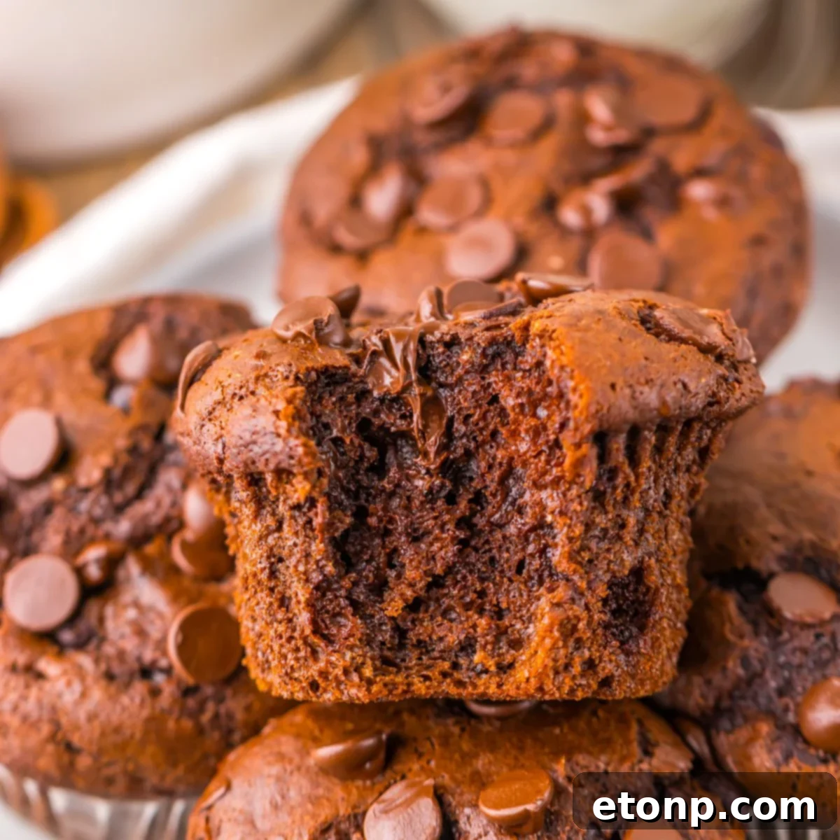 Costco Double Chocolate Muffins Bakery Style Jumbo Rich Moist 4 Close-up of a homemade Costco Double Chocolate Muffin with a bite missing, revealing the moist interior.