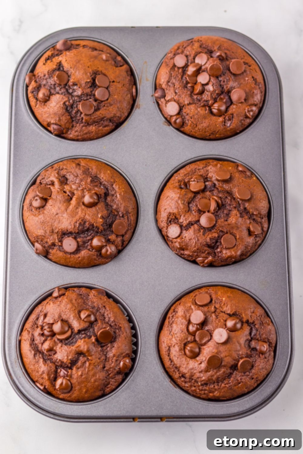 Costco Double Chocolate Muffins Bakery Style Jumbo Rich Moist 5 Overhead view of a muffin tin filled with freshly baked homemade Costco Double Chocolate Muffins.