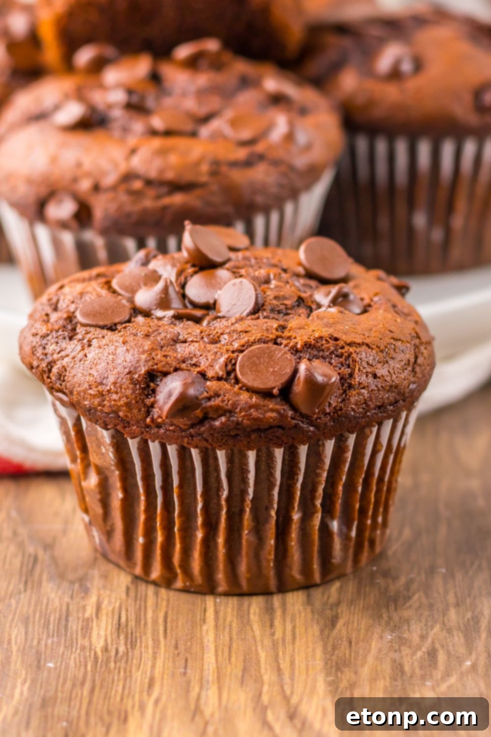 Costco Double Chocolate Muffins Bakery Style Jumbo Rich Moist 6 Freshly baked Costco Double Chocolate Muffins cooling on a wire rack.