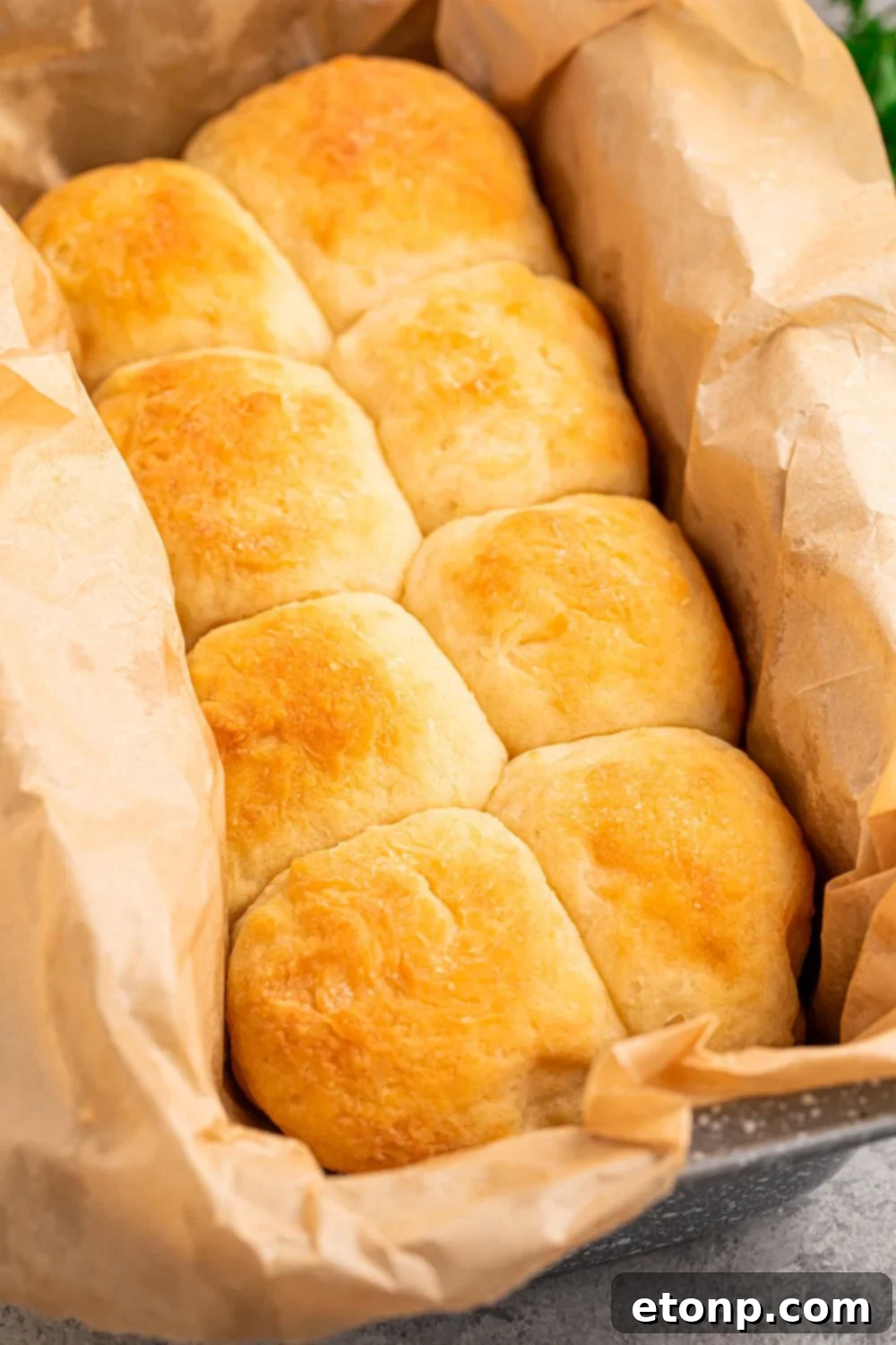 2 Ingredient Dinner Rolls in a pan on table 