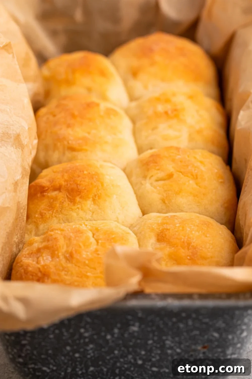 2 Ingredient Dinner Rolls in tray on table with parchment paper in pan