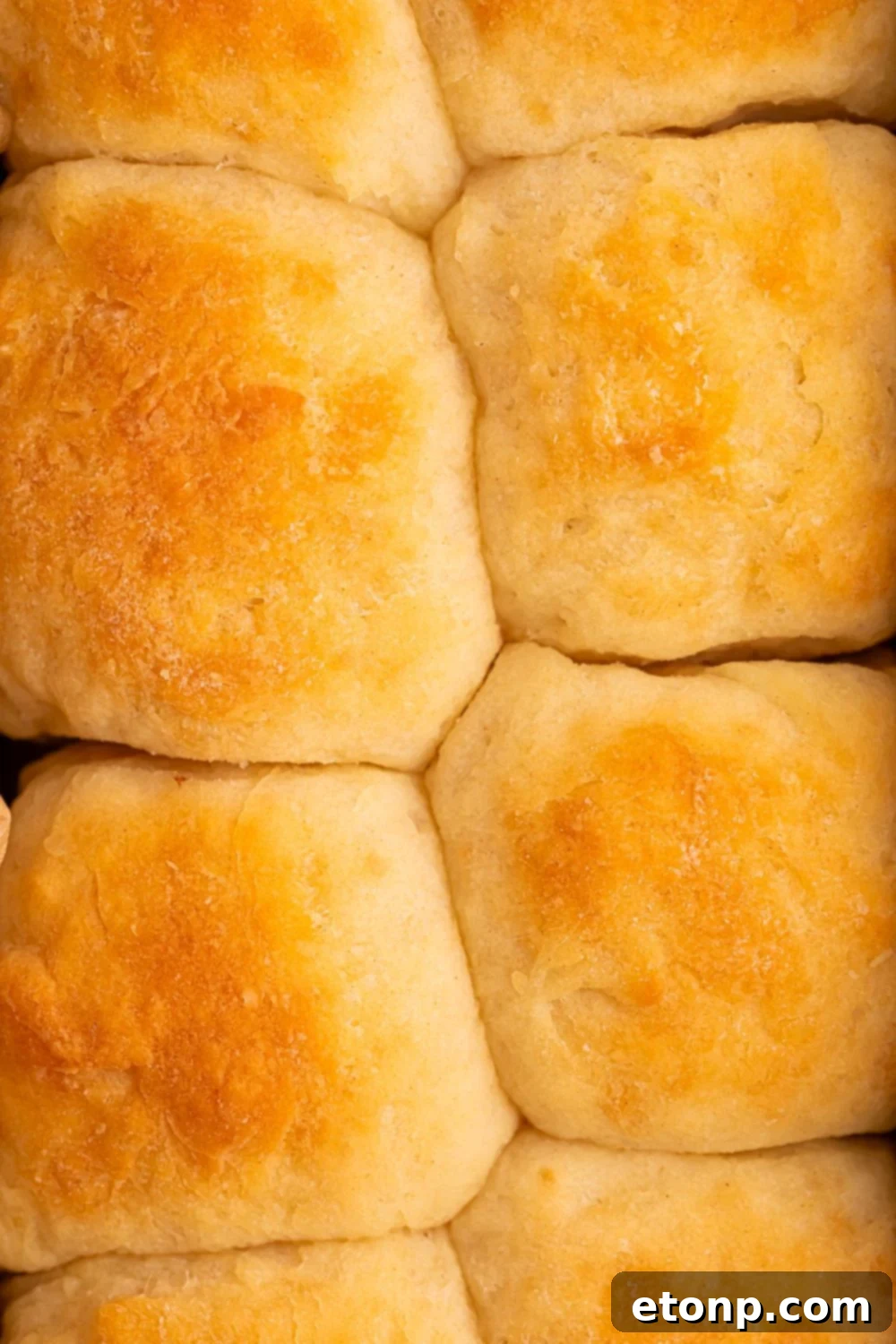 2 Ingredient Dinner Rolls in a pan with a close up of rolls 