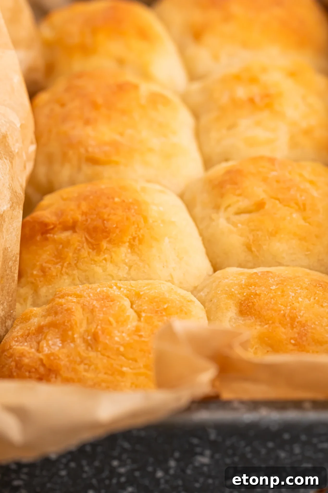 2 ingredient dinner rolls in pan with parchment paper sitting on table up close 