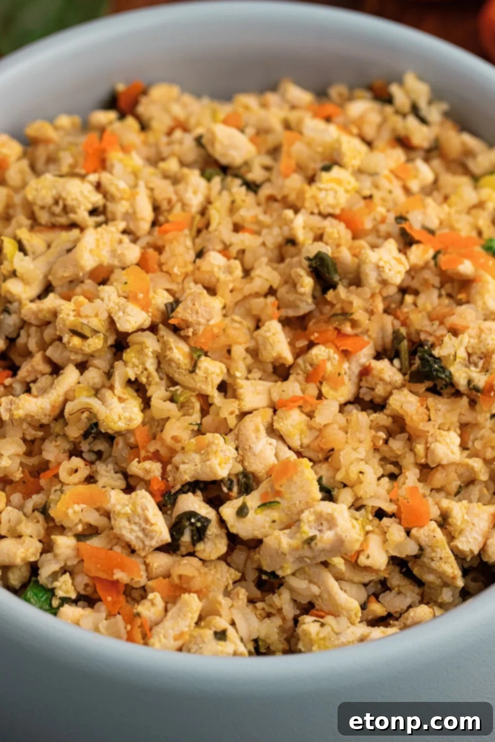 side view of Homemade Turkey and Rice Dog Food with Veggies in a dog bowl 