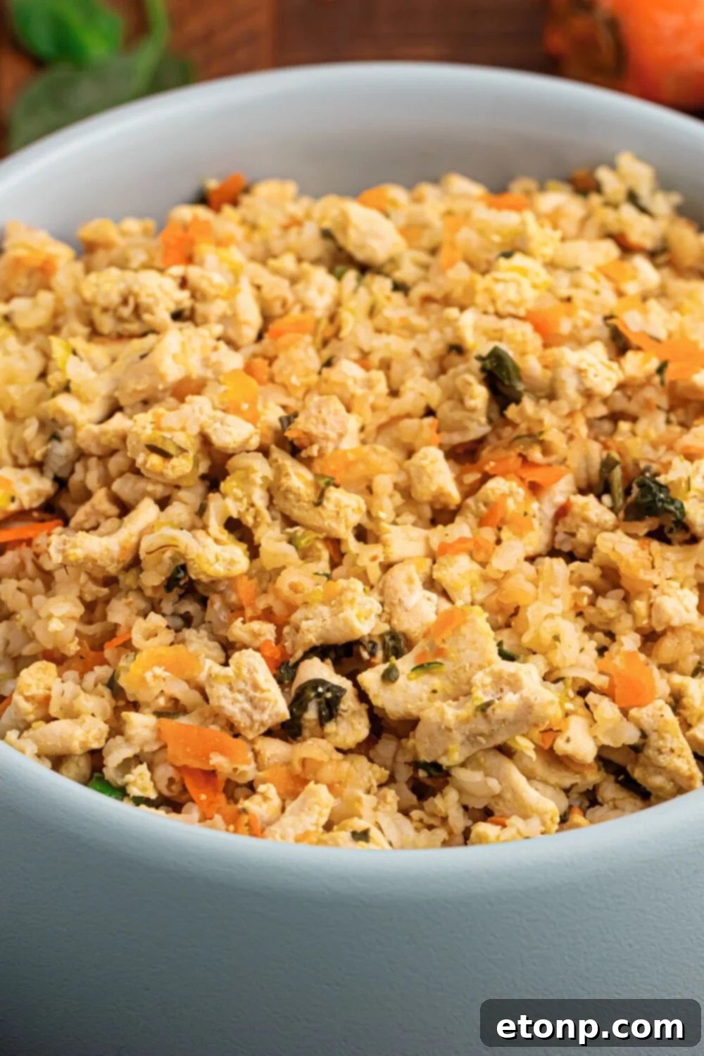 Homemade Turkey and Rice Dog Food with Veggies made fresh and in a dog bowl 
