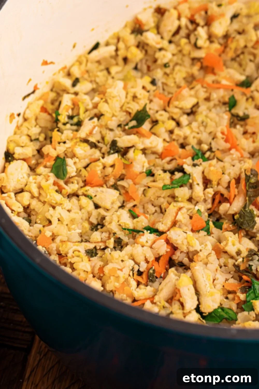 Homemade Turkey and Rice Dog Food with Veggies in a blue pot sitting on table 