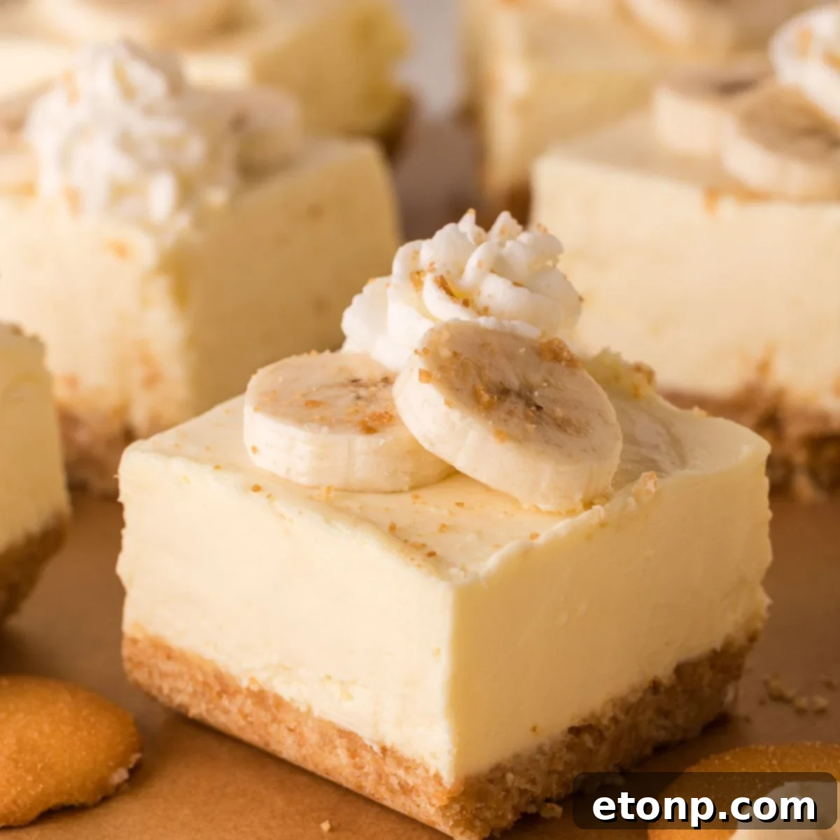 No Bake Banana Pudding Cheesecake Bars sliced and placed on table with vanilla wafers around table 