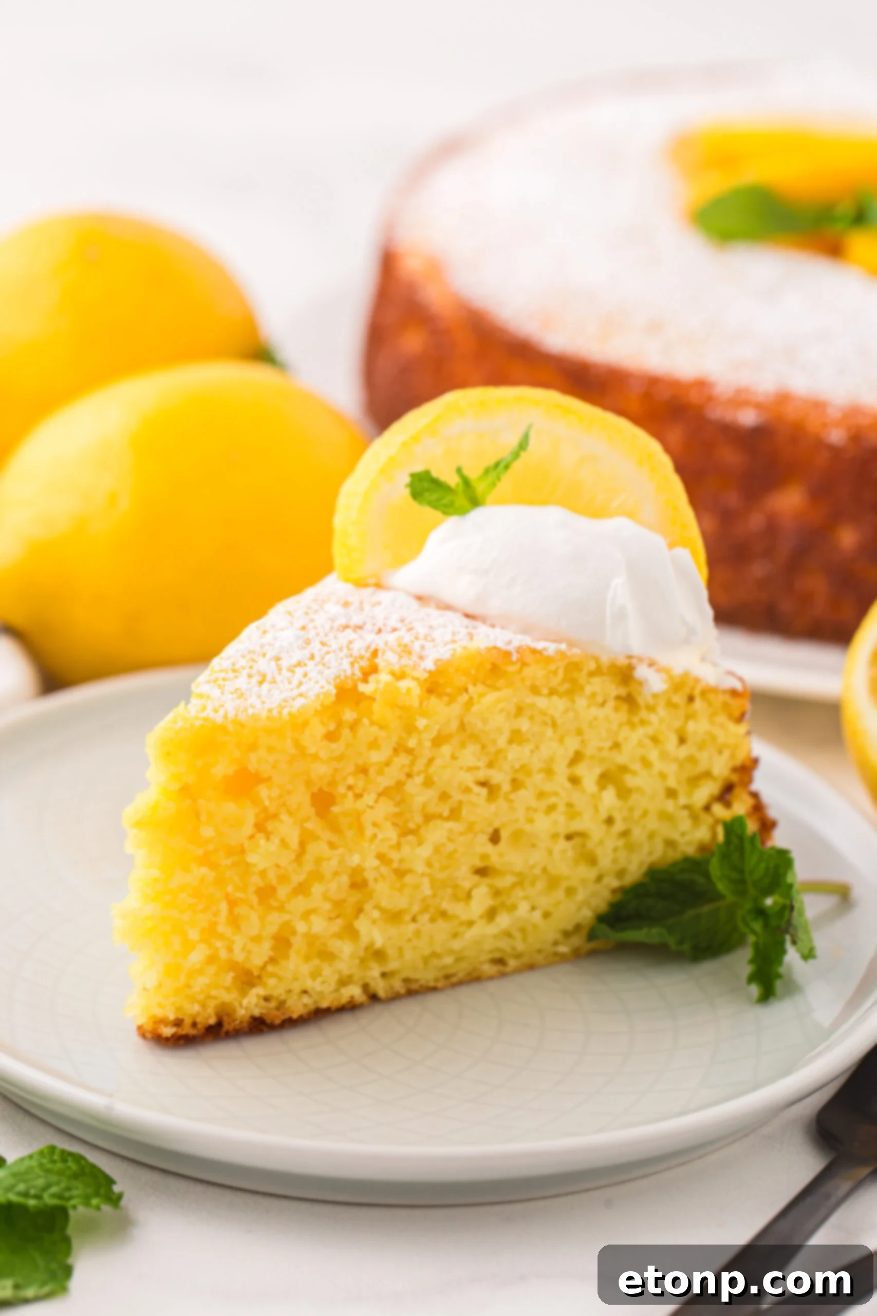Effortless Italian Lemon Ricotta Cake: Light and Lemony Perfection 2 A perfectly sliced piece of Italian Lemon Ricotta Cake presented on a white plate, with whole fresh lemons and the rest of the cake artfully arranged in the background on a rustic wooden table.