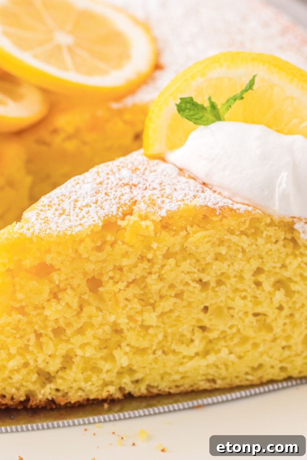 Effortless Italian Lemon Ricotta Cake: Light and Lemony Perfection 12 A detailed close-up of a slice of Italian Lemon Ricotta Cake on a plate, with bright lemon slices positioned behind it, creating a vibrant and inviting scene.
