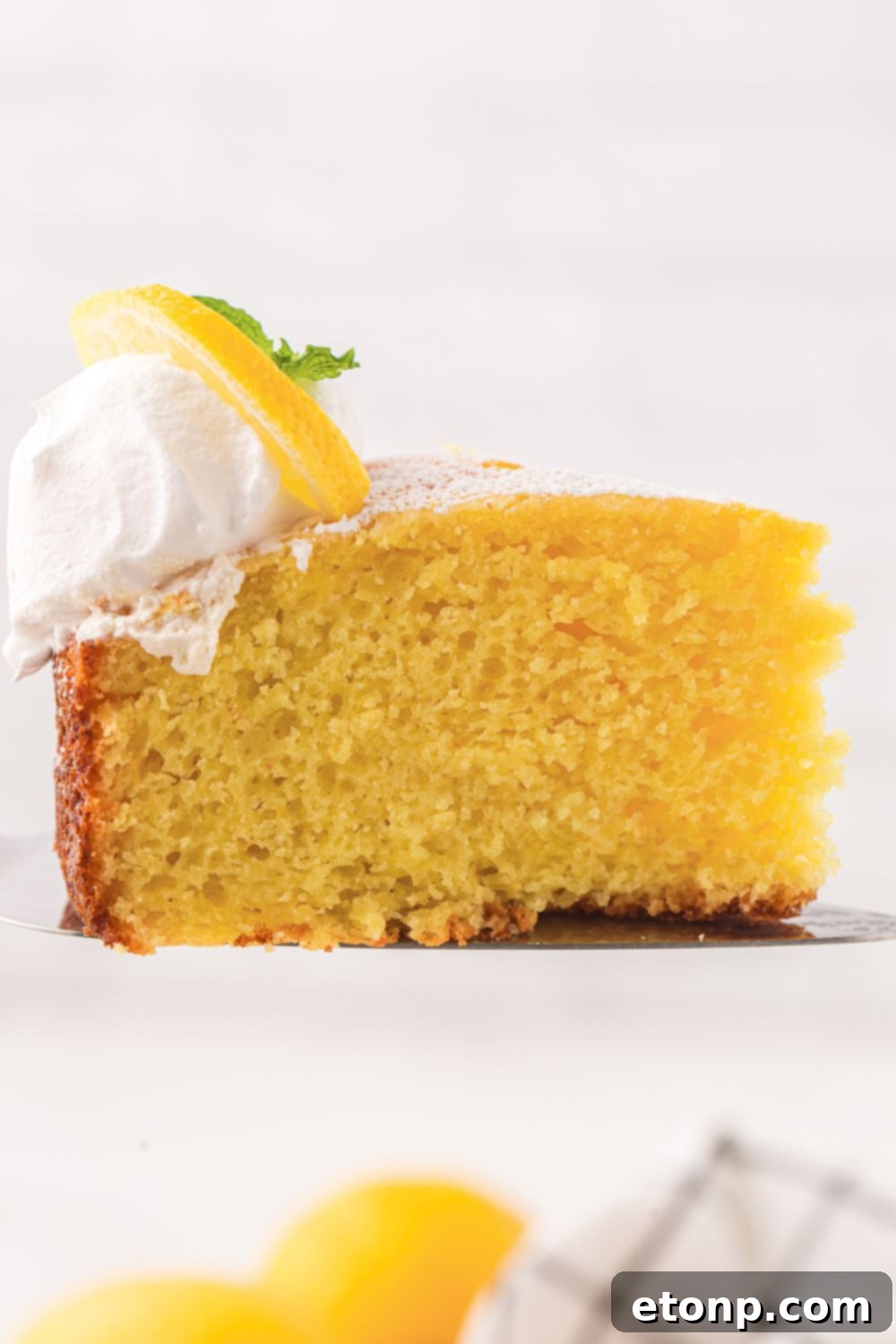 Effortless Italian Lemon Ricotta Cake: Light and Lemony Perfection 19 A slice of Italian Lemon Ricotta Cake is beautifully presented on a plate, topped with a dollop of whipped cream, viewed from the side, emphasizing its rich texture.