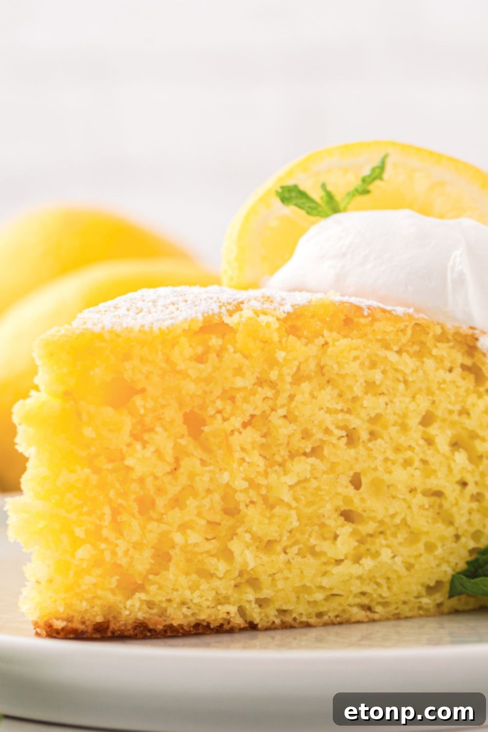 Effortless Italian Lemon Ricotta Cake: Light and Lemony Perfection 20 A slice of Italian Lemon Ricotta Cake elegantly plated with a dollop of whipped cream and a fresh lemon slice, highlighting a sophisticated dessert presentation.