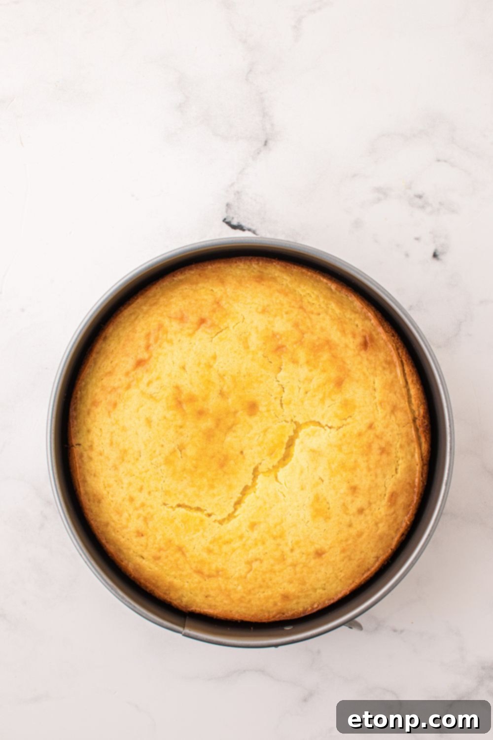 Effortless Italian Lemon Ricotta Cake: Light and Lemony Perfection 10 The perfectly golden-brown round Lemon Ricotta Cake, fresh out of the oven, rests in its baking pan on a rustic wooden table.