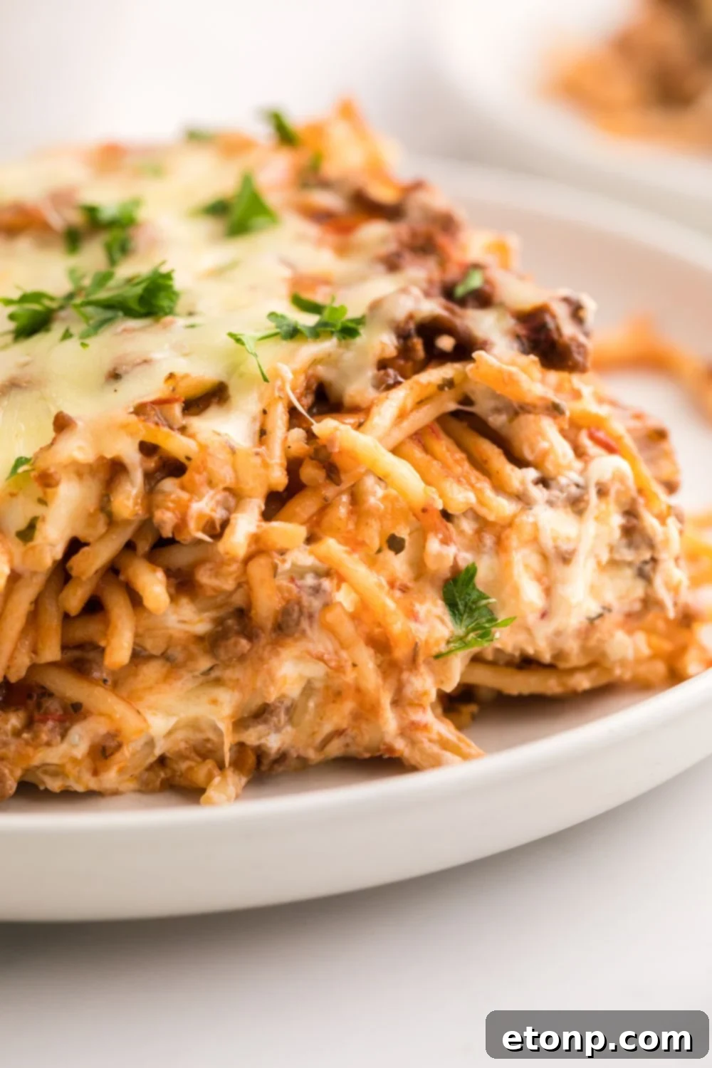 Million Dollar Spaghetti Casserole on a plate 