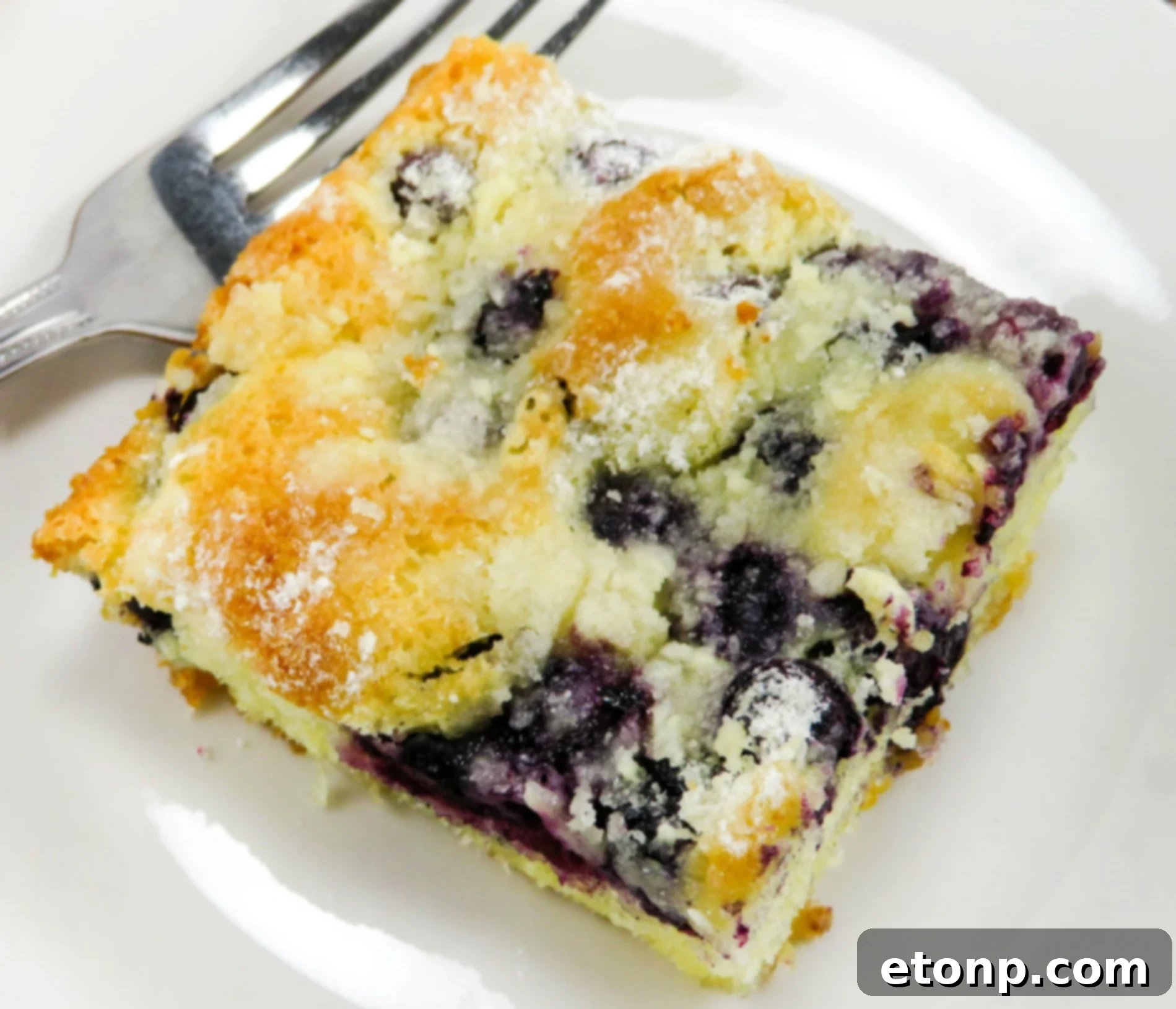 Delicious Blueberry Butter Cake freshly baked and golden brown