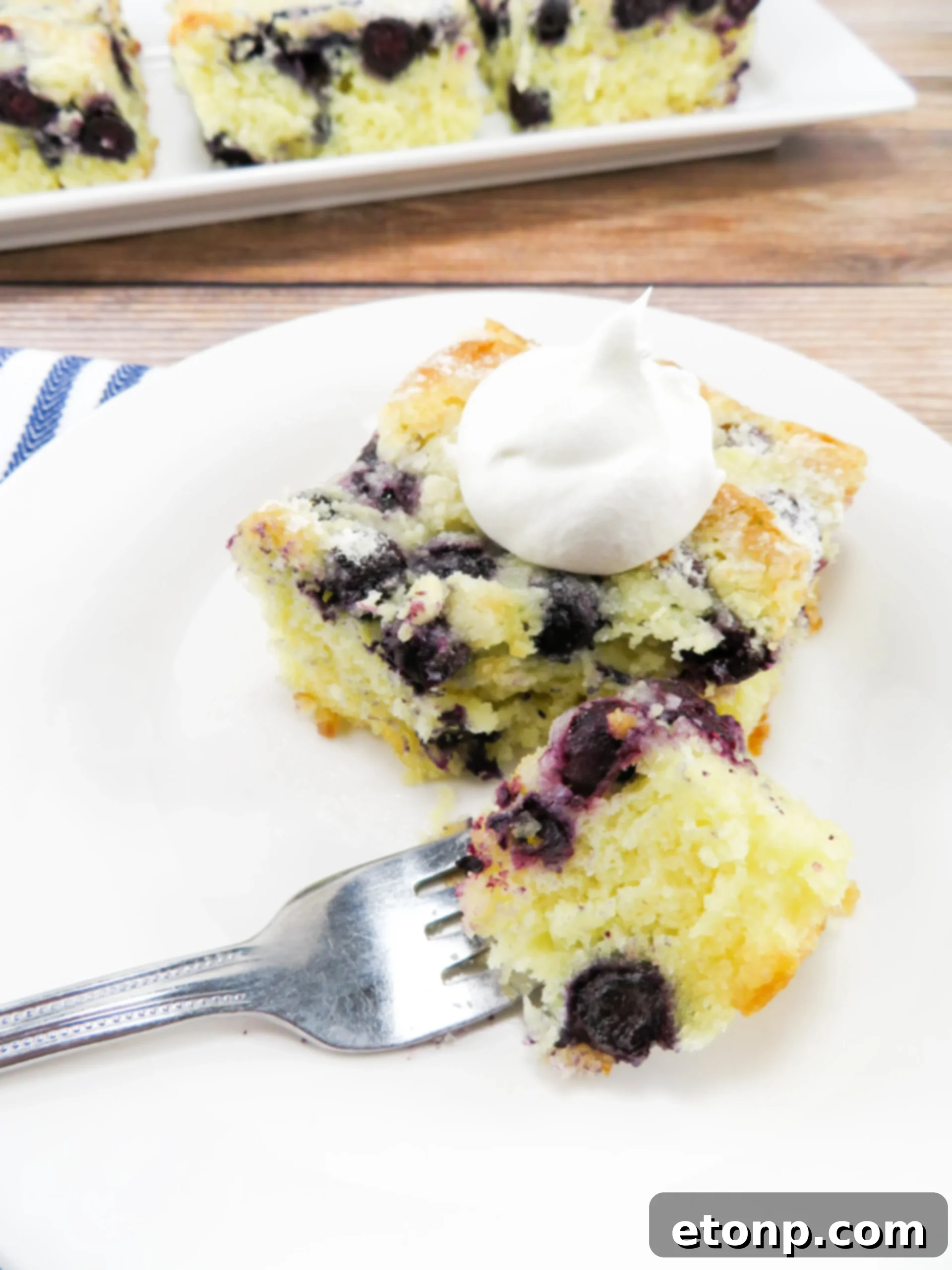 Close-up of baked Blueberry Butter Cake with a crumbly topping