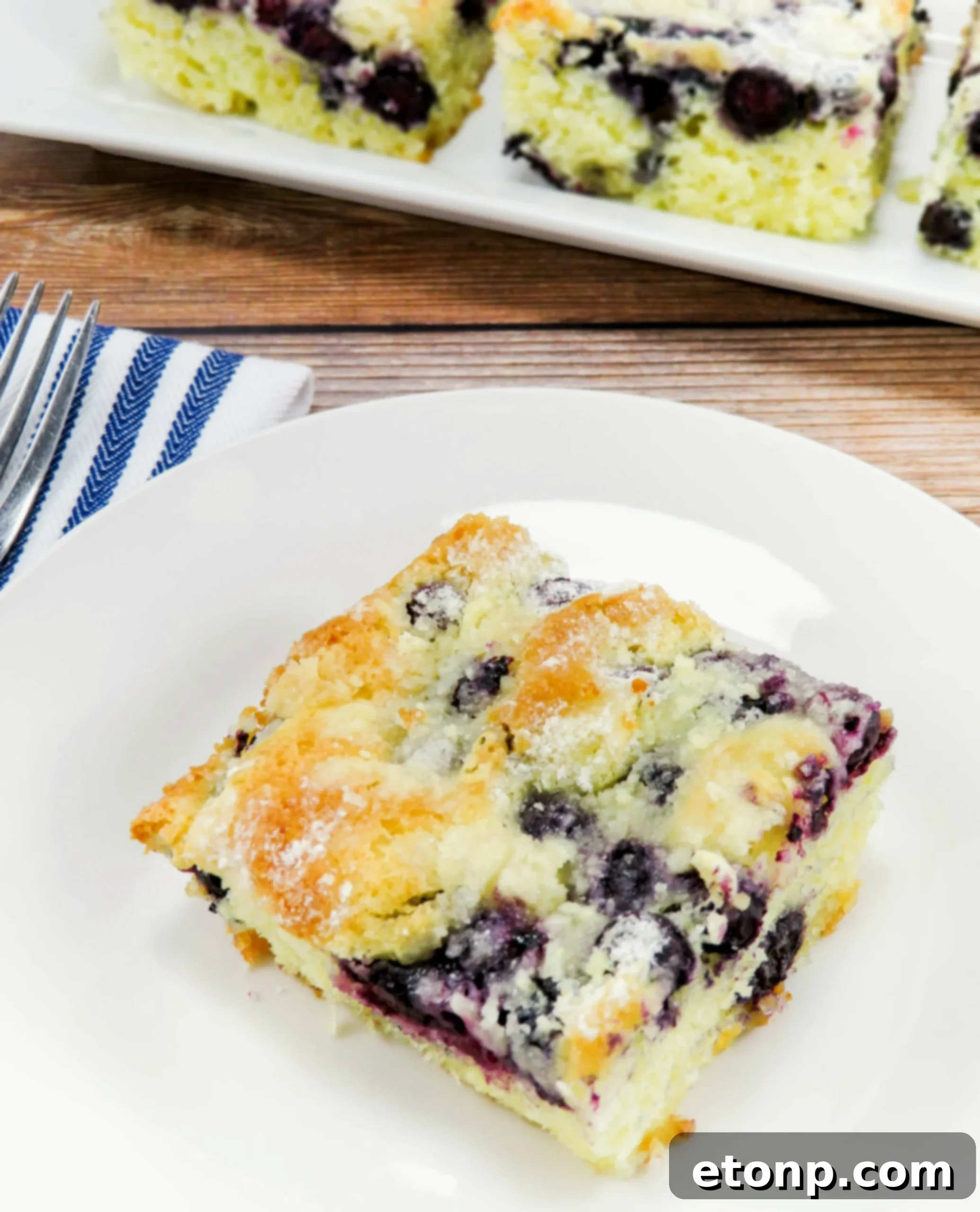Warm Blueberry Butter Cake fresh out of the oven