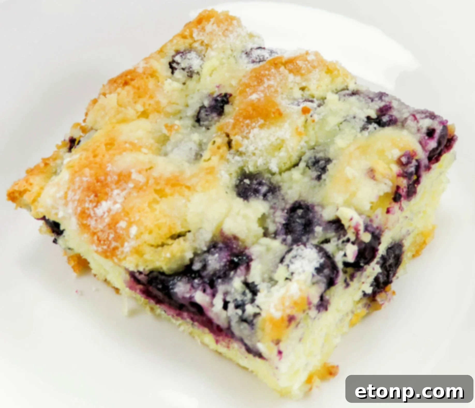 A beautifully textured slice of Blueberry Butter Cake