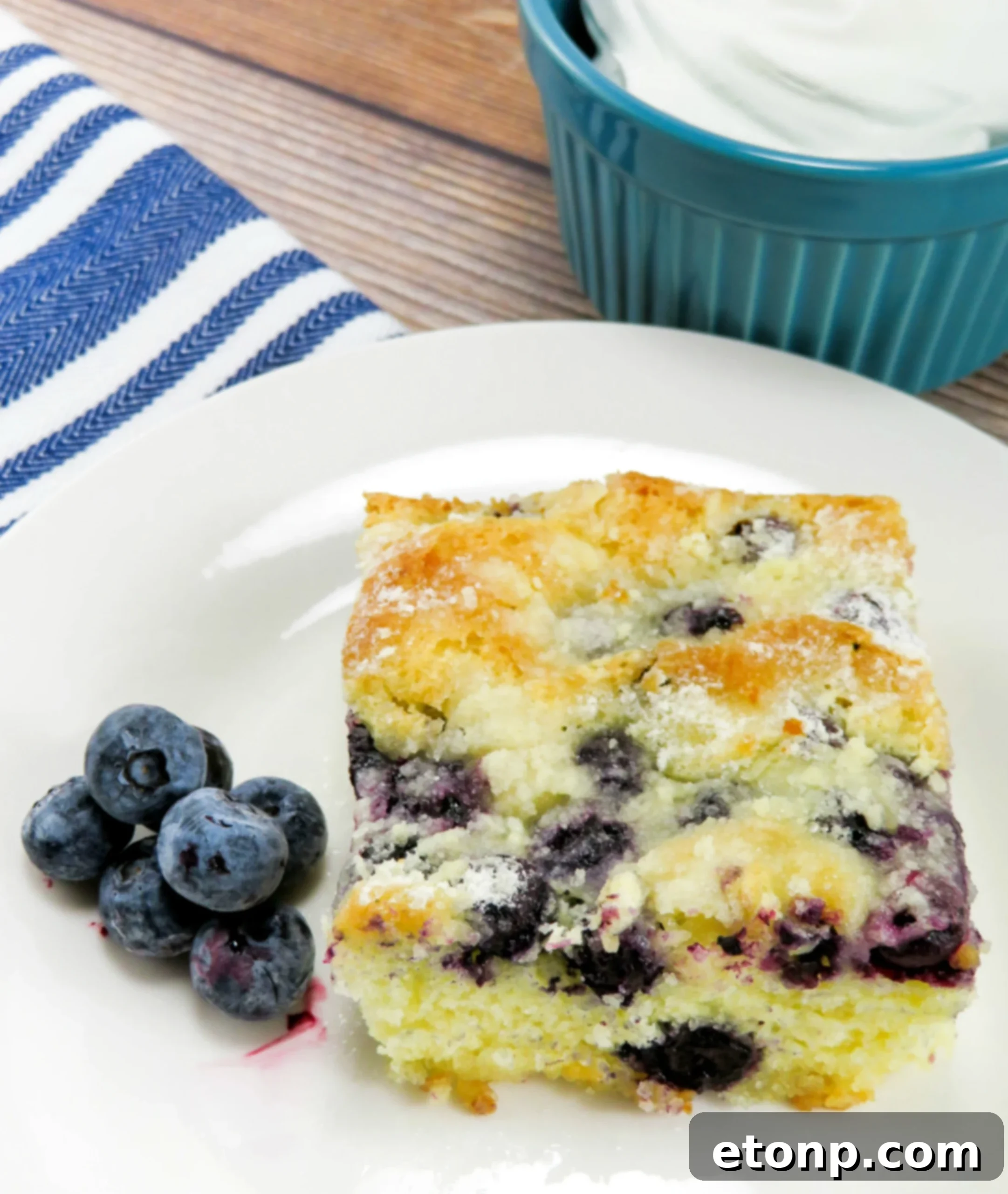 Blueberry Butter Cake served with a light dusting of powdered sugar