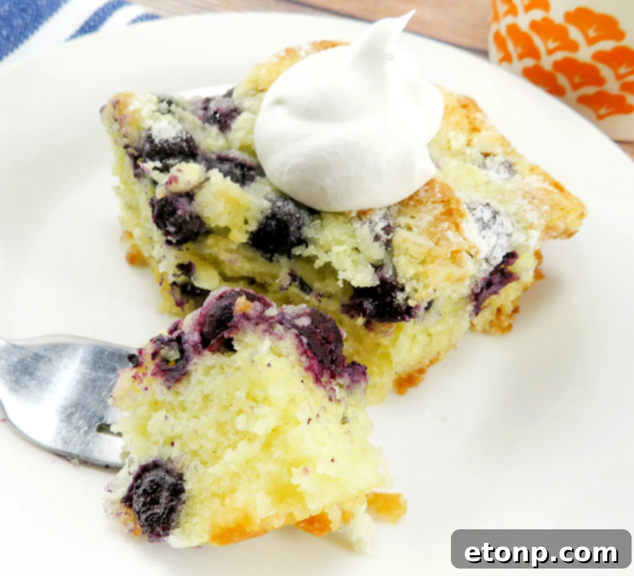 Final image of the whole Blueberry Butter Cake