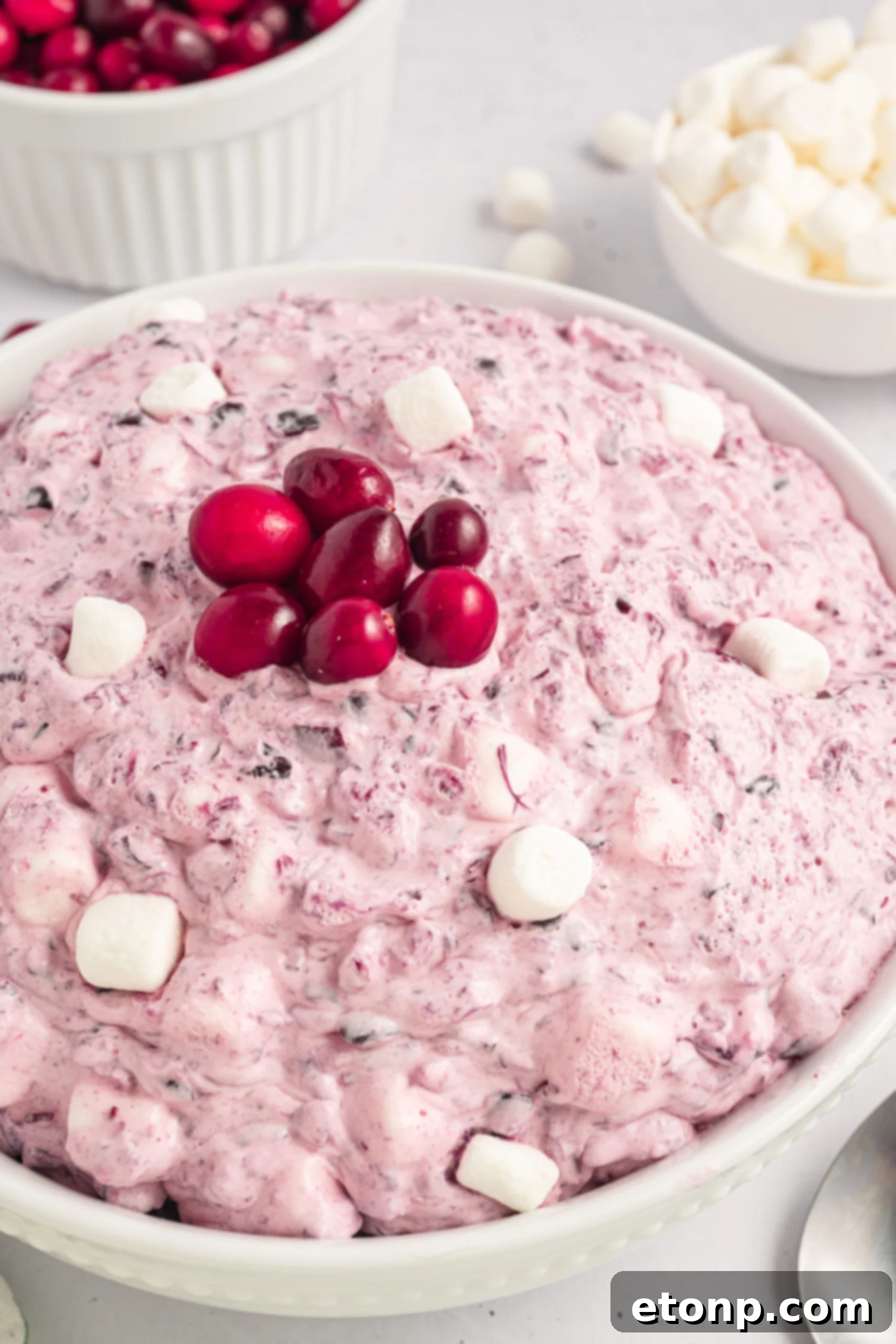 Cranberry Fluff Salad in a white bowl with mini marshmallows