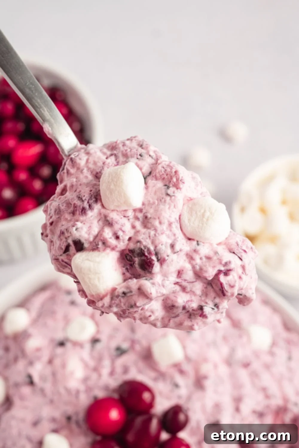 Cranberry Fluff Salad in a white bowl on table with a spoonful of the mixture. Small bowls to side on white counter with marshmallows and cranberries 