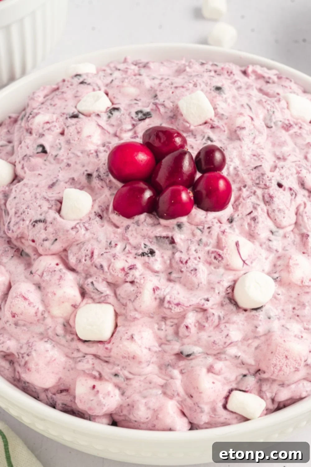 close up of a white bowl full of Cranberry Fluff Salad with mini marshmallows around the top of fluff, and in the center there are 7 fresh cranberries in the center of bowl 