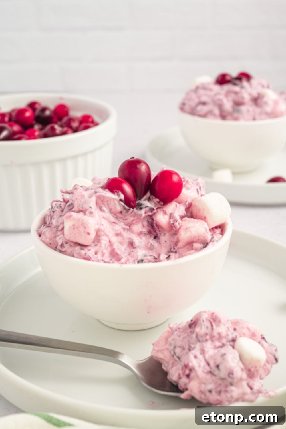 small white bowl full of Cranberry Fluff Salad with a white plate under it. Then in background is another plate and bowl set with fluff inside, and a medium sized white bowl with fresh cranberries. 