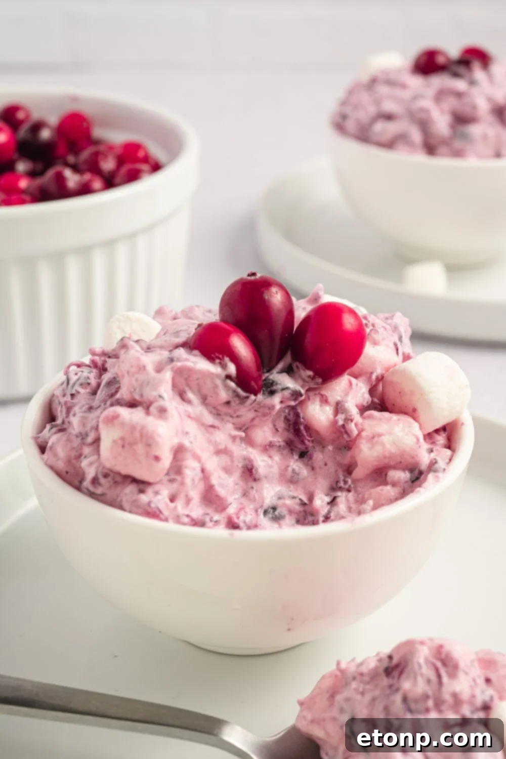 white table that has plates with small bowls on top of plate full of Cranberry Fluff Salad topped with a few fresh berries. Then in a bowl in background is more cranberries. 