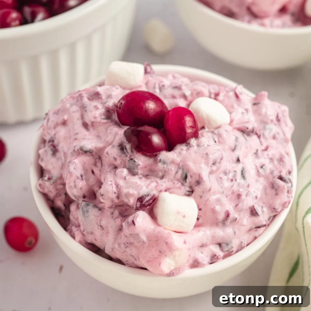 counter with a white bowl with Cranberry Fluff Salad in it topped with fresh cranberries and mini marshmallows 