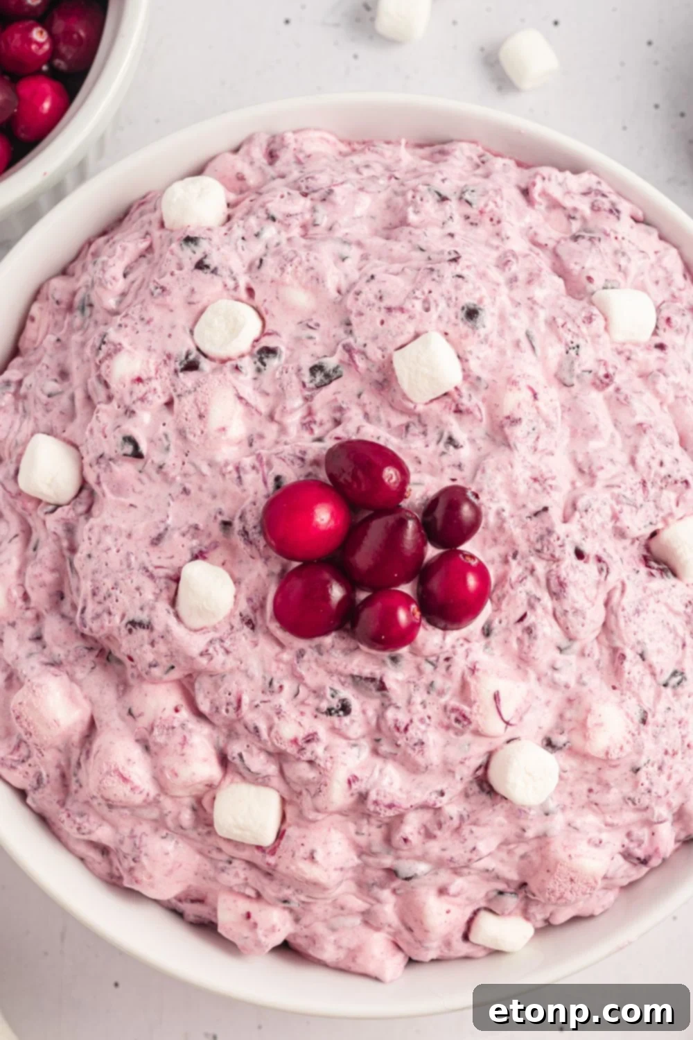 view of a white bowl on table with marshmallows and cranberries with a few mini marshmallows scattered around table 